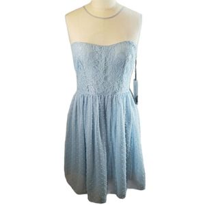 NWT Gorgeous Sheer Periwinkle Lace Tulle Dress